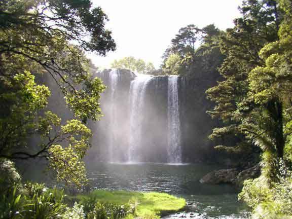 Glenbervie Cottages Whangarei Ngoại thất bức ảnh