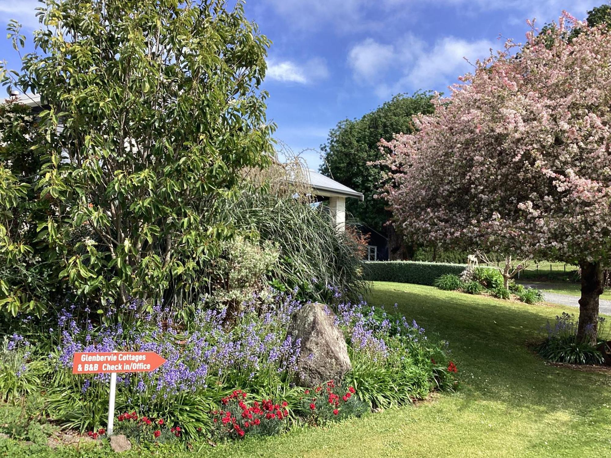 Glenbervie Cottages Whangarei Ngoại thất bức ảnh